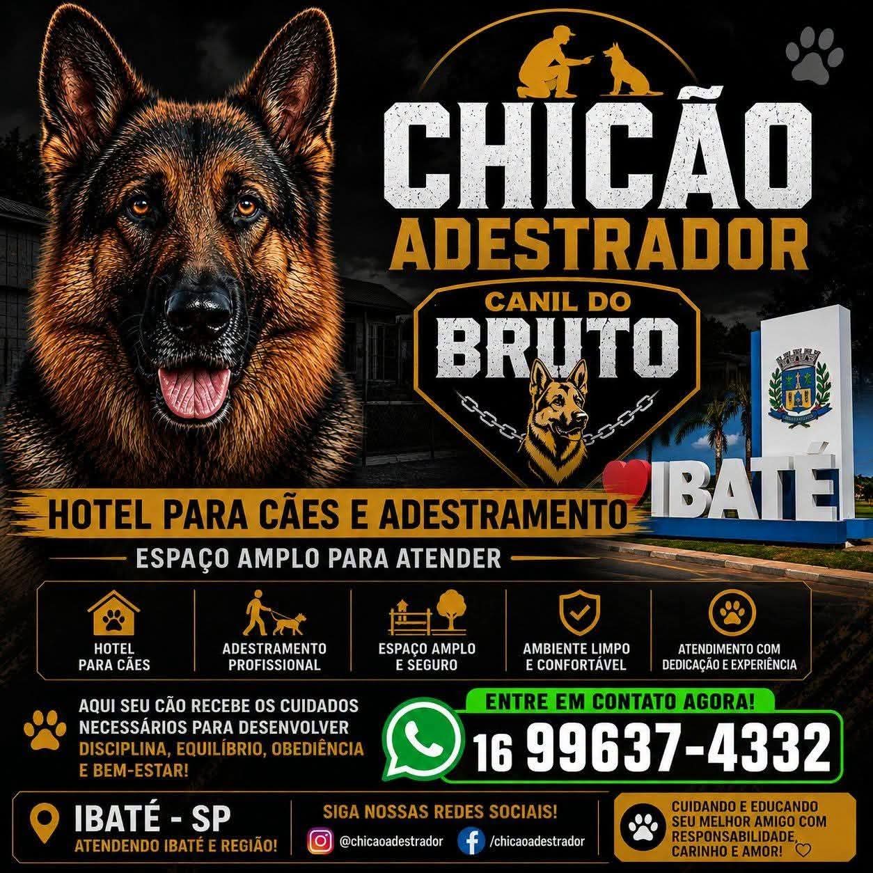 🐾❤️ VAI VIAJAR OU ESTÁ REFORMANDO A CASA? SEU MELHOR AMIGO TAMBÉM MERECE CONFORTO, SEGURANÇA E MUITO CARINHO!