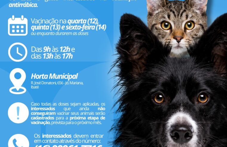 🐶🐱 Ibaté realiza vacinação antirrábica para cães e gatos nesta semana