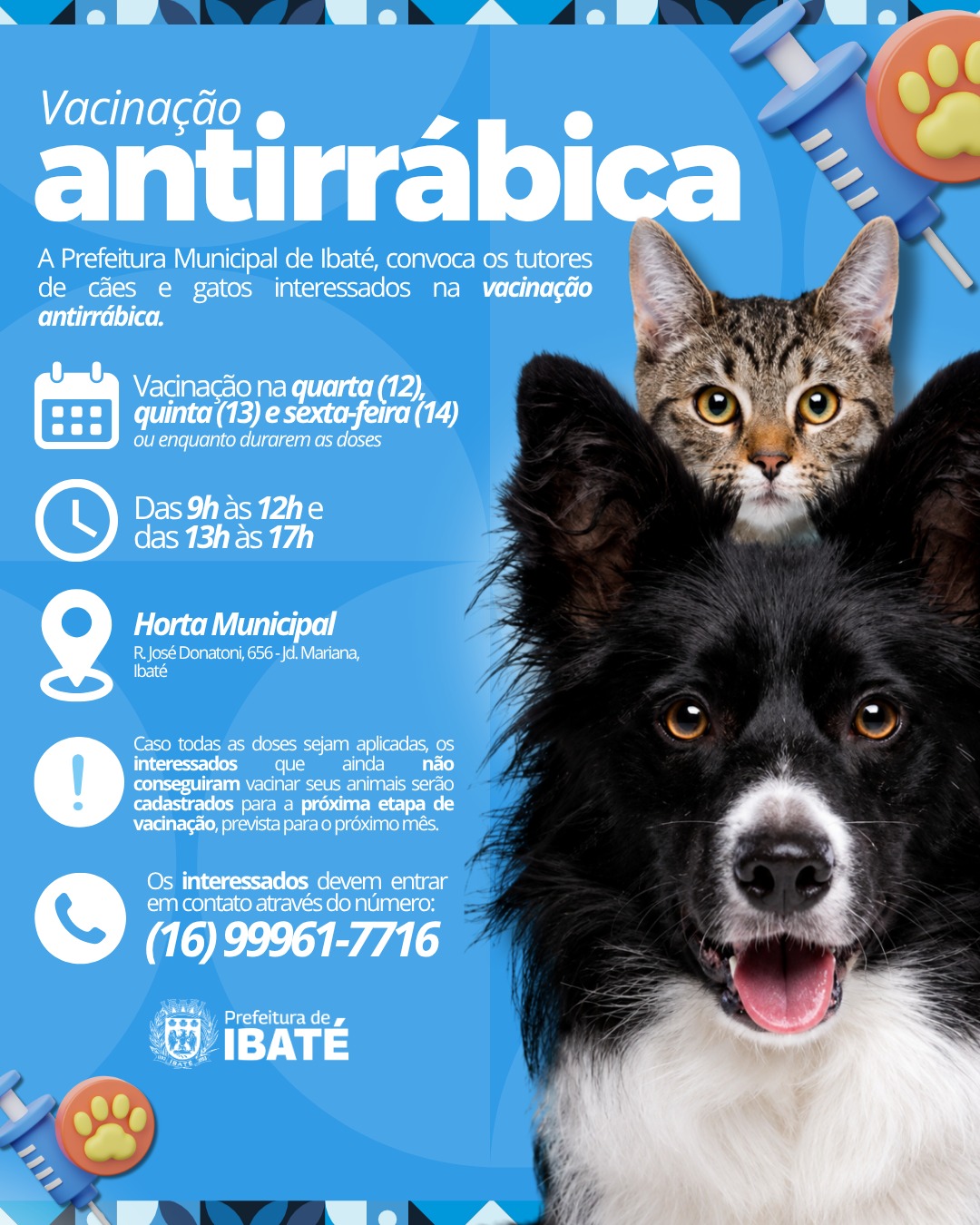 🐶🐱 Ibaté realiza vacinação antirrábica para cães e gatos nesta semana