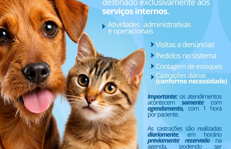 📌 Centro de Zoonoses de Ibaté divulga cronograma semanal de atendimentos e serviços