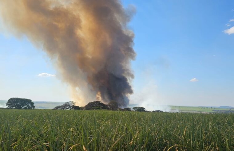 🚨 Defesa Civil de Ibaté atua no combate a incêndio de grandes proporções na divisa com Araraquara