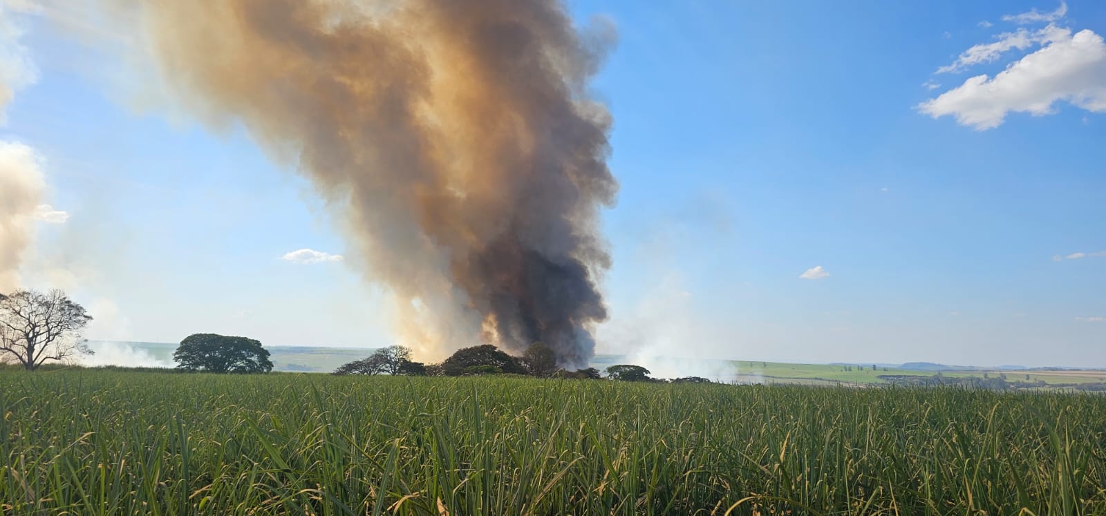 🚨 Defesa Civil de Ibaté atua no combate a incêndio de grandes proporções na divisa com Araraquara