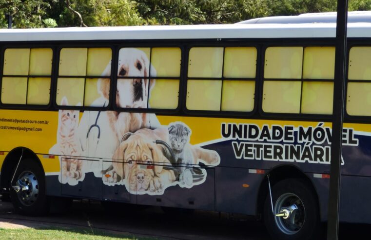 📌 Ibaté realiza mutirão de castração e reforça compromisso com a causa animal