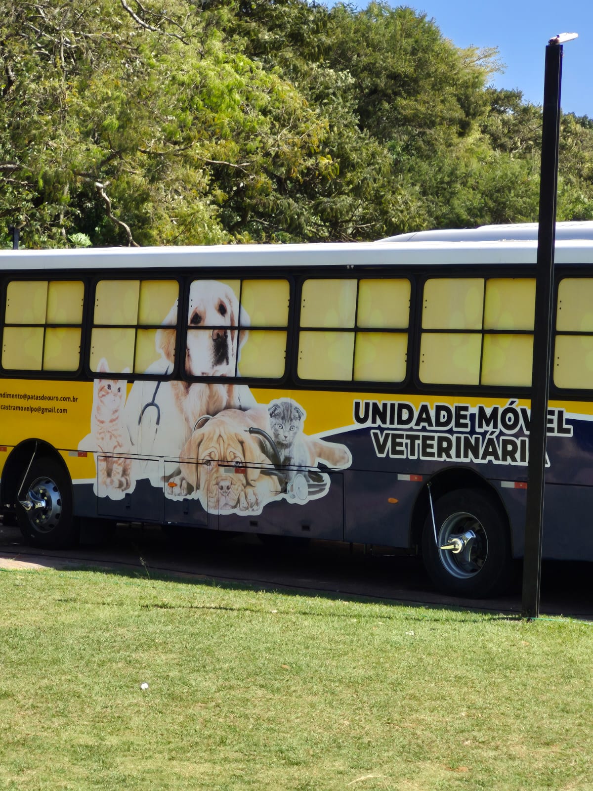 📌 Ibaté realiza mutirão de castração e reforça compromisso com a causa animal