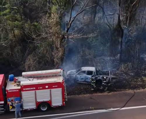 🚨 Caminhonete bate contra árvore e pega fogo na SP-215; motorista fica ferido