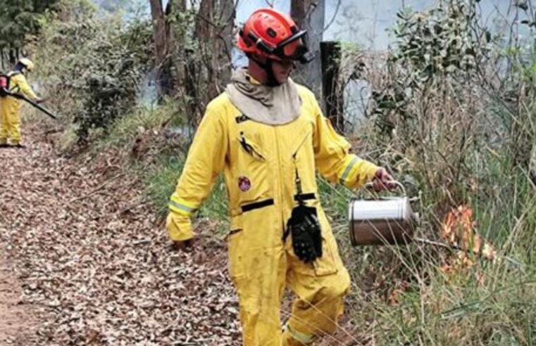 🚨 Queima prescrita é realizada no Cerrado da UFSCar para prevenir incêndios e estudar o comportamento do fogo