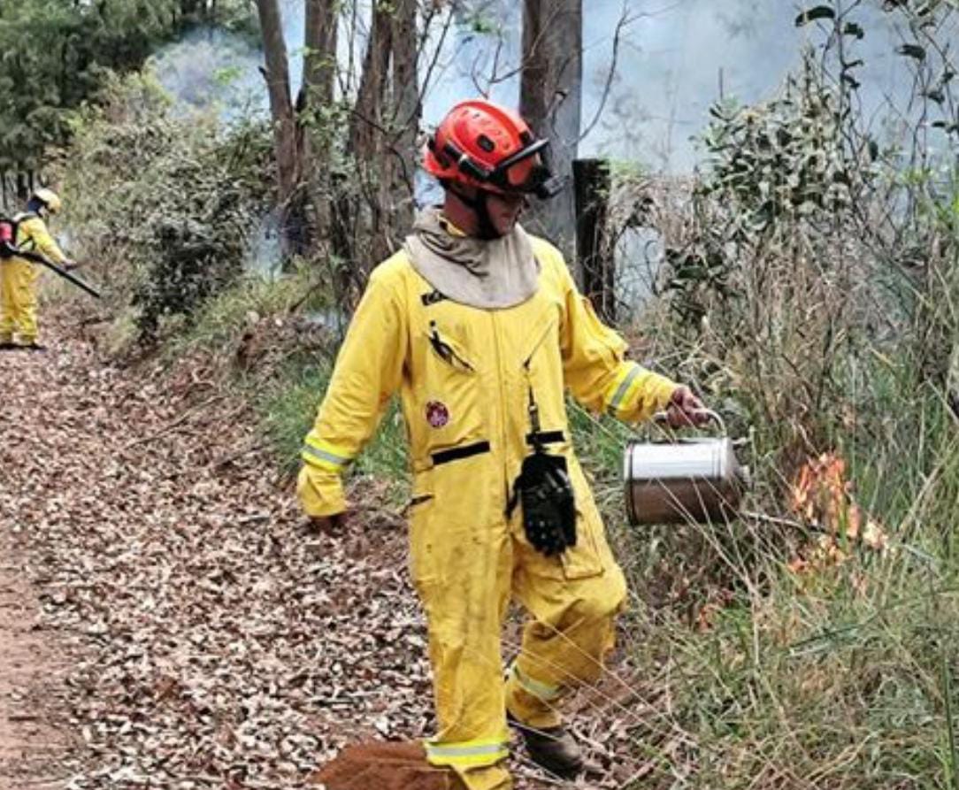 🚨 Queima prescrita é realizada no Cerrado da UFSCar para prevenir incêndios e estudar o comportamento do fogo