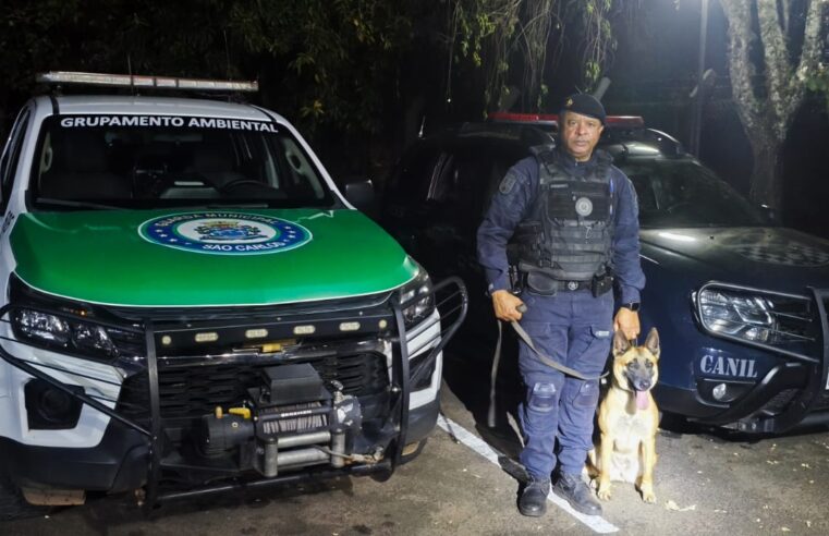 🚨 Guarda Municipal realiza operação contra o tráfico de drogas em Santa Eudóxia
