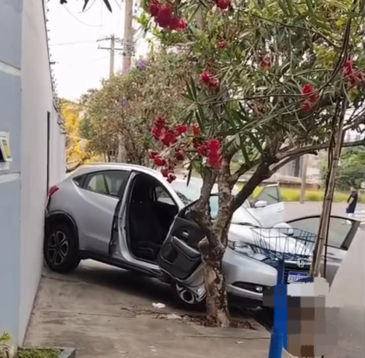 🚨 MULHER É ATROPELADA PELO PRÓPRIO CARRO AO TENTAR SALVAR GATO EM SÃO CARLOS