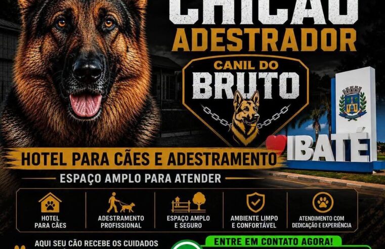 🐾 CHICÃO ADESTRADOR: REFERÊNCIA EM ADESTRAMENTO EM IBATÉ E REGIÃO!