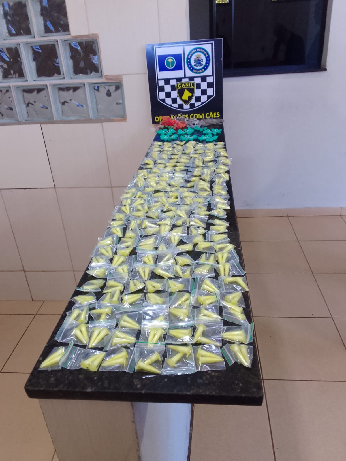 🚨 Cão farejador localiza drogas escondidas em cano durante patrulhamento no Jacobucci