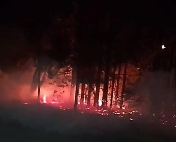 🚨 INCÊNDIO EM ÁREA DE MATA MOBILIZA DEFESA CIVIL E GCM DURANTE A NOITE EM IBATÉ