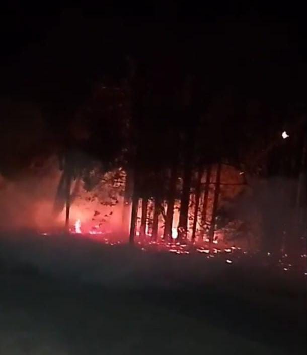 🚨 INCÊNDIO EM ÁREA DE MATA MOBILIZA DEFESA CIVIL E GCM DURANTE A NOITE EM IBATÉ