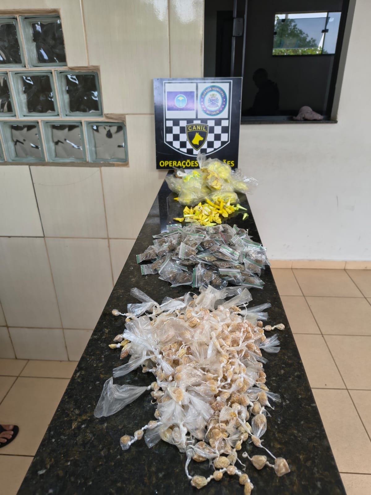 🚨 Guarda Municipal localiza grande quantidade de entorpecentes durante ação do Canil em São Carlos