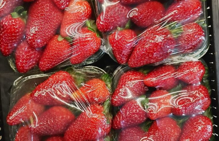 🍓 MORANGOS EM PROMOÇÃO!