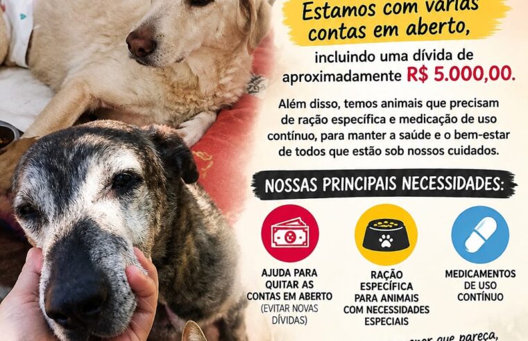 🚨🐾 A ONG AMAR É O BICHO, DE IBATÉ, PRECISA DA SUA AJUDA!