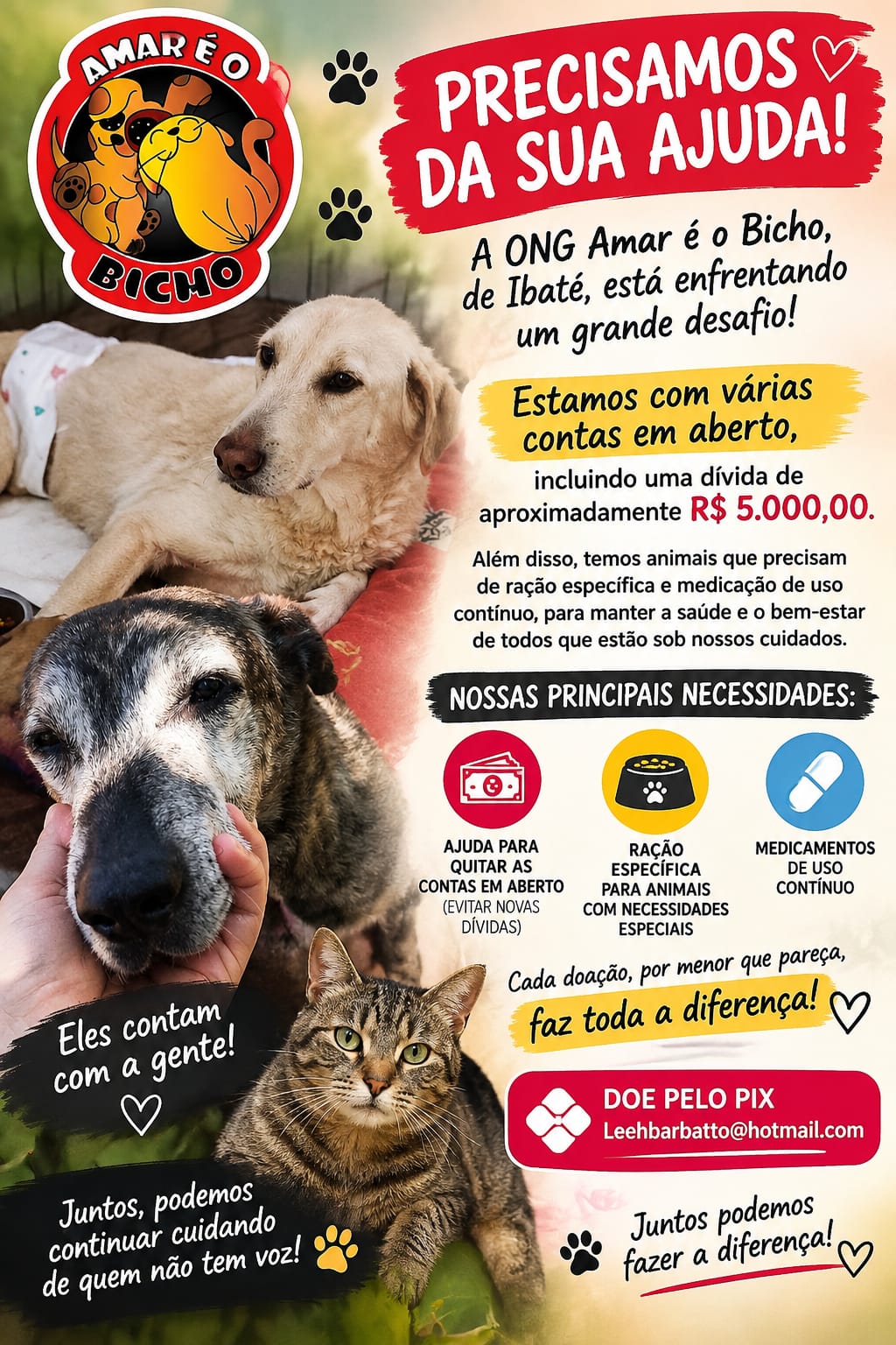 🚨🐾 A ONG AMAR É O BICHO, DE IBATÉ, PRECISA DA SUA AJUDA!