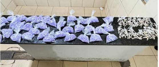🚨 Mulher é detida após apreensão de mais de 1,9 mil porções de cocaína e 448 pedras de crack em São Carlos
